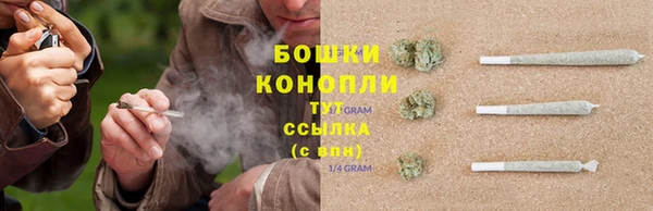 МДПВ Бородино