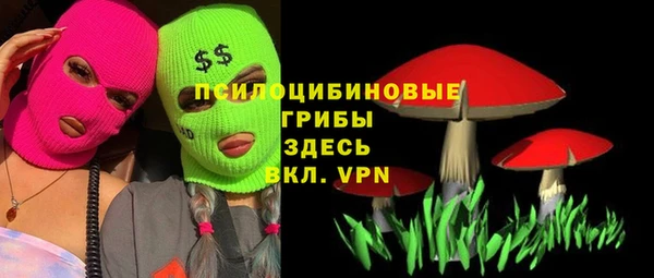 молекула духа Богородск