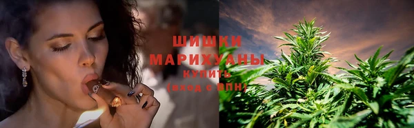 молекула духа Богородск