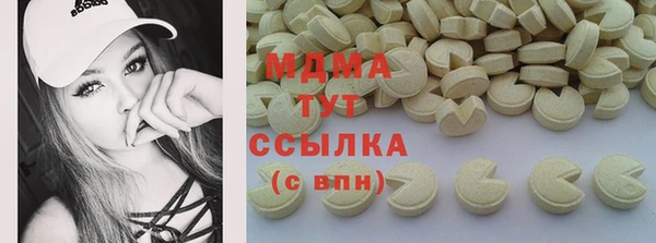 МДПВ Бородино