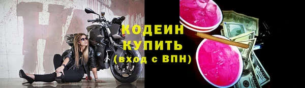 МДПВ Бородино