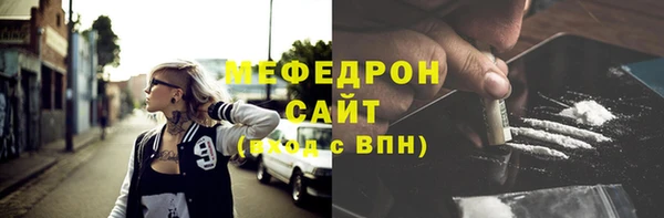 МДПВ Бородино