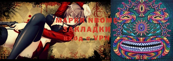 МДПВ Бородино