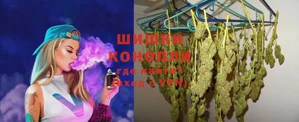 молекула духа Богородск